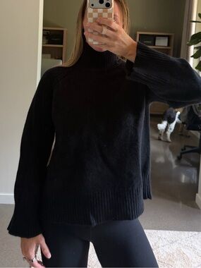 Aritzia Turtleneck Sweater